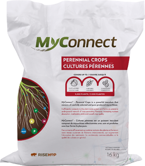 MyConnect Professional Large Format