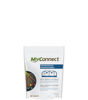 MyConnect Professional Small Format