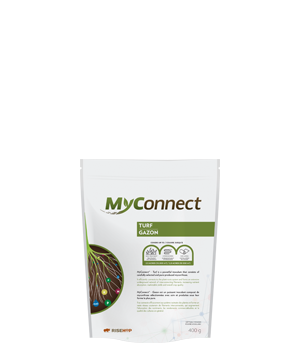 MyConnect Turf Small Format